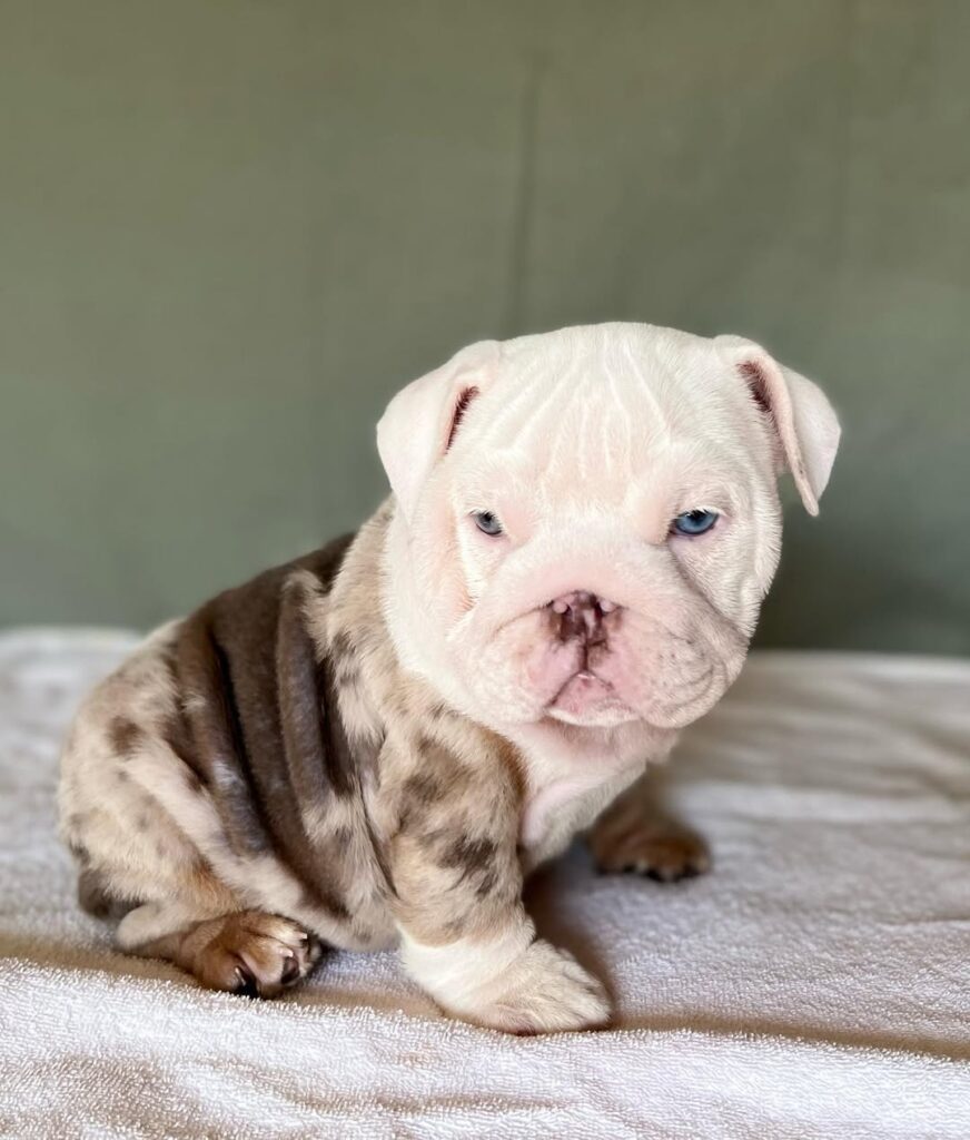 274223475 1849115878604893 8158133124048726157 n