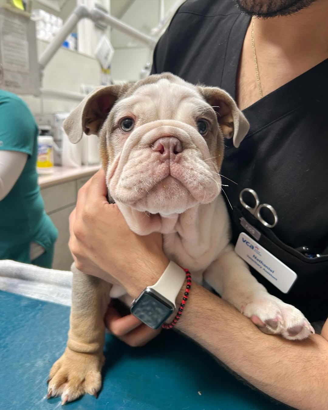 458193363 1073847628079265 6364435149945537256 n