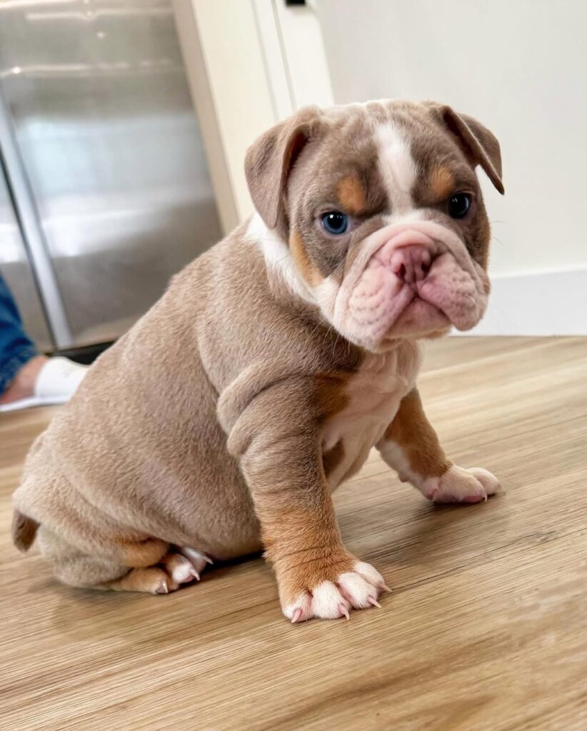 496447713 17967203423906878 922502640203133702 n