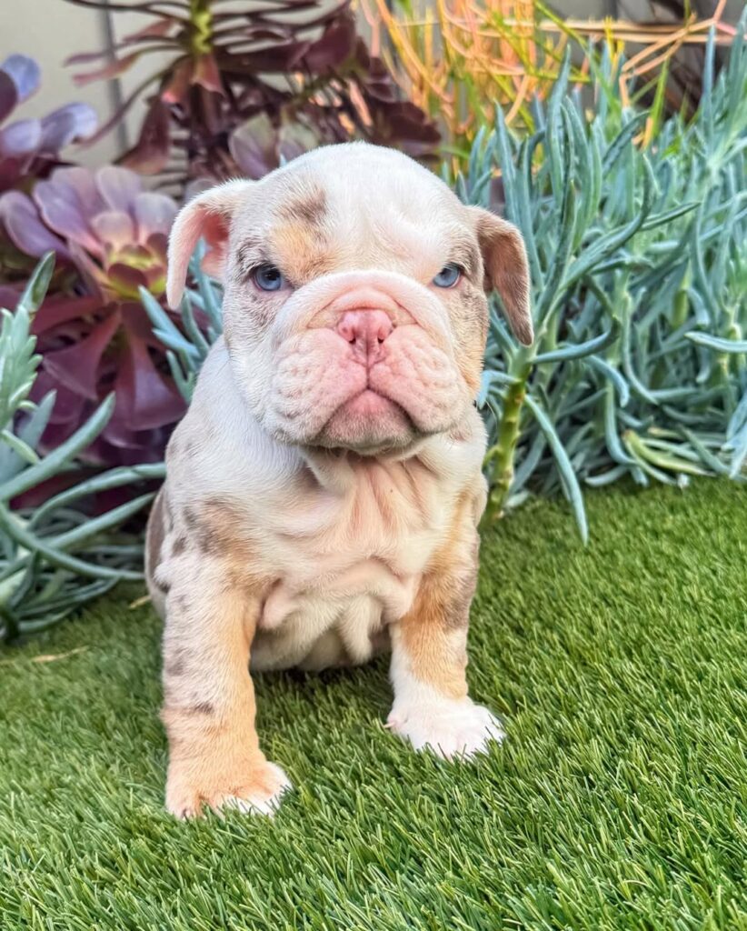 499646868 17968274054906878 7970375122017281089 n