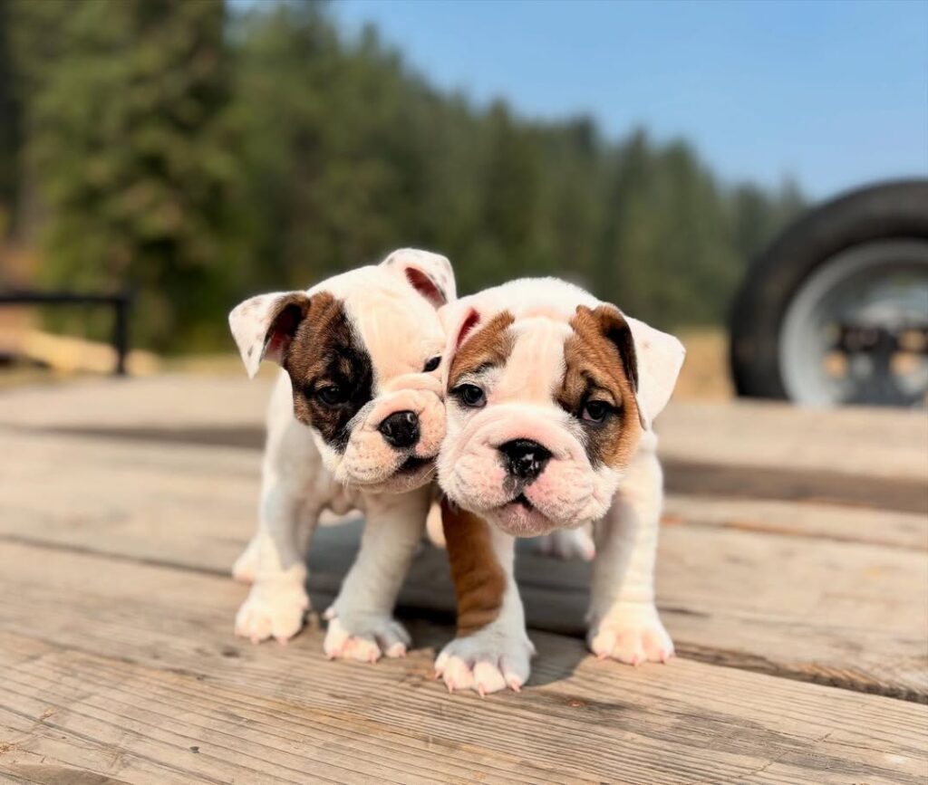 538435140 18018649262751582 8070429814408978272 n