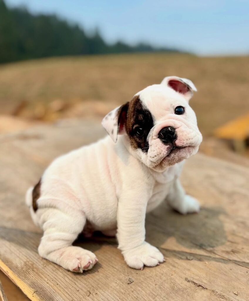 539810375 18018649340751582 4214933522574363863 n