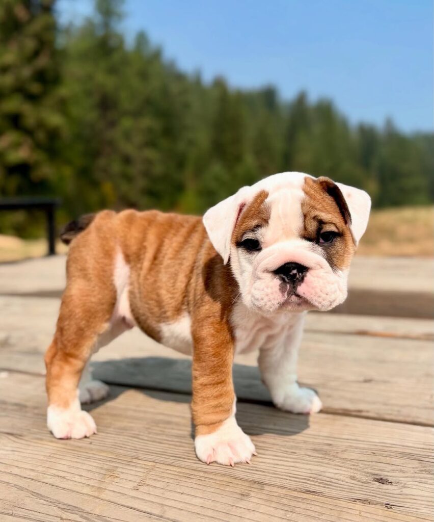 540501067 18018649295751582 2451030941225641137 n